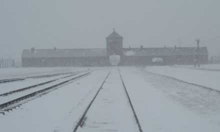 Concorso “I giovani ricordano la Shoah” Anno scolastico 2016/2017