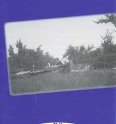 RS n. 105