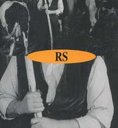RS n. 85