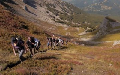 Sabotatori – Il trailer