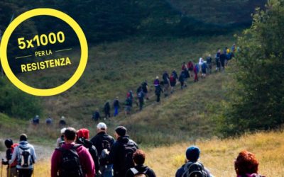 Il tuo 5 x 1000 a Istoreco: prenditi cura della tua Storia!