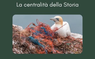Summer School 2021 dell’istituto Parri