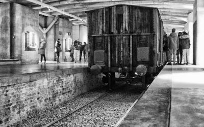 Viaggio della Memoria a Milano con Auser San Martino